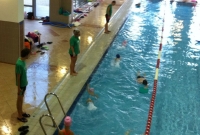 Zöldbéka Úszó Club
