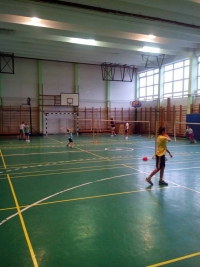 Győri Tollaslabda Egyesület