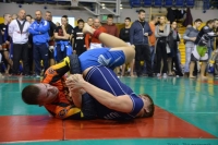 Növényi Sport Akademia Professzionális S.E.