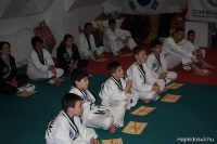 Hapkidosuli