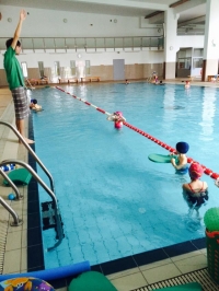 Zöldbéka Úszó Club