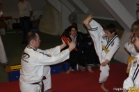 Hapkidosuli