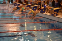 Baluswim Úszóiskola