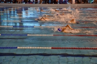 Baluswim Úszóiskola