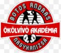 Ökölvívás