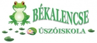 Úszás